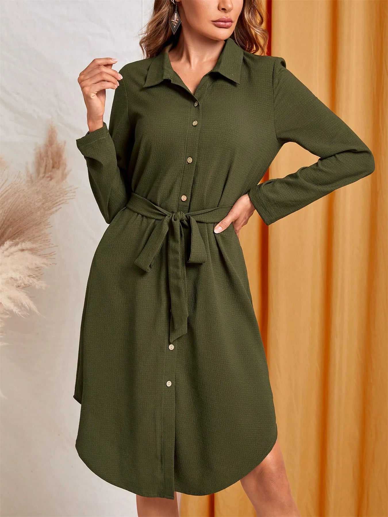 Button-Down Belted Shirt Dress