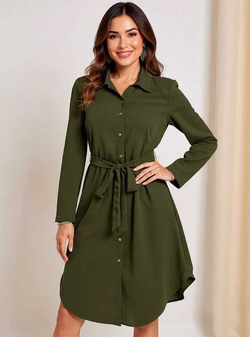 Button-Down Belted Shirt Dress